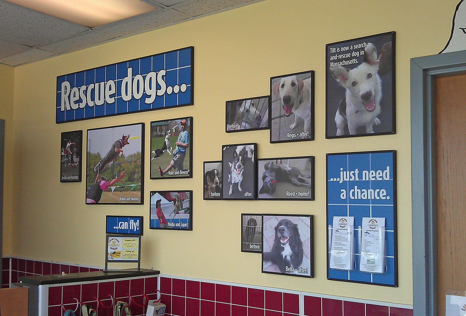 Wall Display Lucky Dog Retreat Rescue David Squire Design